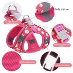 KocaPlye No-Pull Dog Harness and Leash Set