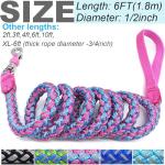 Reflective Nylon Dog Leash - 6ft Pink