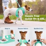 GoTags Personalized No Pull Pet Harness - Black