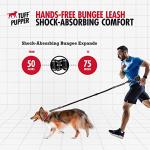 Heavy Duty Hands-Free Dog Leash for Large Dogs