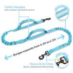 Hands-Free Crossbody Dog Leash Bag with Dispenser