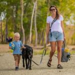 LifeHandle Hands-Free Dog Leash System for Training