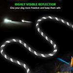 Hands-Free Dog Leash for Running and Hiking