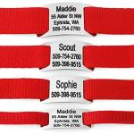 Slide-On Personalized Pet ID Tags in Stainless Steel