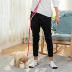 Hands-Free Dog Leash for Running and Hiking