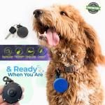 Personalized Lazy Leash with Dog's Name and Portrait