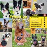 Personalized Lazy Leash with Dog's Name and Portrait