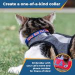 Custom Embroidered Breakaway Cat Collar with Bell