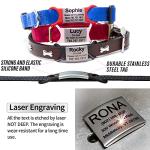 Personalized Slide-On Dog and Cat ID Tags