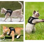 Escape-Proof Tactical Cat Harness with Personalization