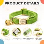 Custom Engraved Adjustable Cat Collar and Leash