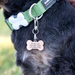 Personalized Engraved Pet ID Tag with Bling