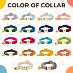 Custom Engraved Adjustable Cat Collar and Leash