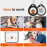 Personalized QR Code Dog ID Tags - 2 Pack