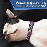 Personalized Slide-On Pet ID Tags - Silent Stainless Steel