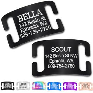Personalized Slide-On Pet ID Tags, Stainless Steel
