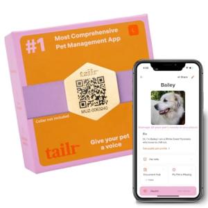 Gold Slide-On Pet ID QR Code Tag with App