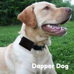 Dapper Dog Black Ballistic Nylon Tag Silencer