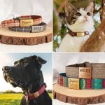 Anavia Personalized Slide-On Pet ID Tags