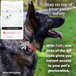 Gold Slide-On Pet ID QR Code Tag with App