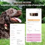 Gold-Plated QR Pet ID Tag with App