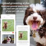 Gold-Plated QR Pet ID Tag with App