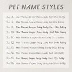 Anavia Personalized Slide-On Pet ID Tags