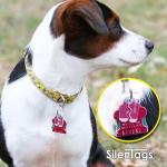 SilenTags Pet Tag Silencer Clip - No Jingle!