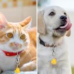 Duck Shaped Pet Collar Bells - 2 Pack