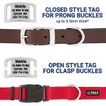 Personalized Slide-On Pet ID Tags - Silent Stainless Steel