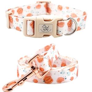 Pumpkin Print Dog Collar and Leash Set