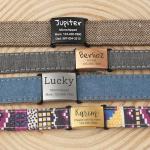 Anavia Personalized Slide-On Pet ID Tags