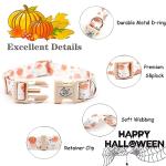 Pumpkin Print Dog Collar and Leash Set