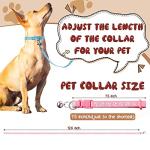 Amylove 48 Pcs Adjustable Dog Collar and Leash Set