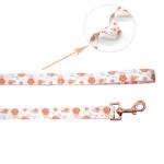 Pumpkin Print Dog Collar and Leash Set