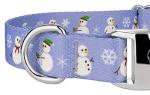 Country Brook Petz Festive Snowman Dog Collar Leash Set