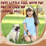 Amylove 48 Pcs Adjustable Dog Collar and Leash Set