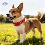 Adjustable Christmas Dog Collar and Leash Set