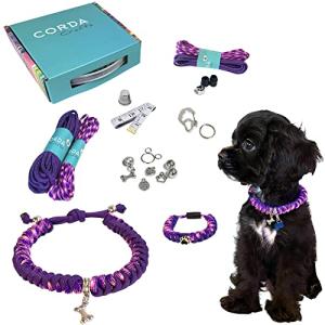 Matching Dog and Owner Bracelet Kit in Pink Purple