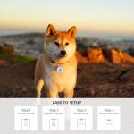 2-Pack Smart QR Code Dog ID Tags