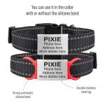 Silent Slide-On Pet ID Tags - Personalized & Custom