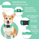 Reflective Dog Collar with Locking Buckle and Leash