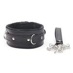 Fur-Lined PU Leather Dog Collar and Leash