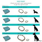 Paracord Kit for Matching Dog ID Accessories