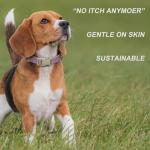 Lavender Adjustable Hemp Dog Collar and Leash Set