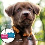 Personalized Pink Bone-Shaped Pet ID Tag