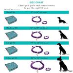 Matching Dog and Owner Bracelet Kit in Pink Purple