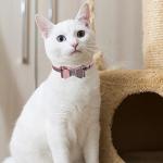 Pink Plaid Dog Collar and Leash Set