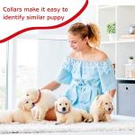 36 Pcs Reflective Dog Collar and Leash Set