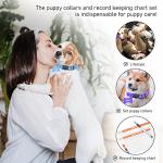 Soft Adjustable Puppy Collar ID Tags Set, 12 Pack